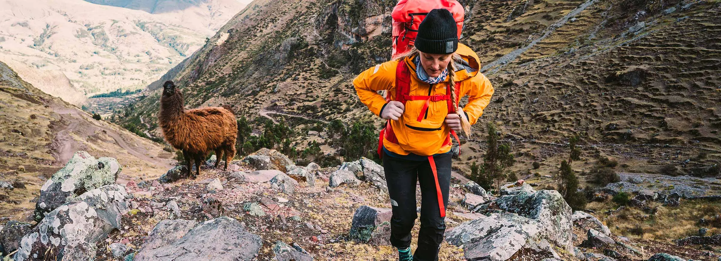 The North Face